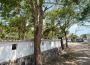 Properties For Sale in San Blas Properties For Sale in San Blas