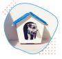 Trusted Dog Boarding in Oxford – Gamegoer Kennels
