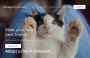 Adopt a Cat in Houston - GarageGymCats 