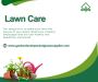 Lawn Grass: Elevate Your Outdoor Space with Premium Greenery