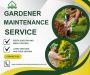  Lawn Grass: Elevate Your Outdoor Space with Premium Greener