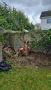 Choosing the Best Tree Felling Services in Dublin