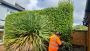 Hedge Cutting Services Dublin: Keep Your Garden Neat and Tid