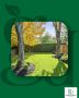 Transform Your Garden with Professional Dublin Tree Services