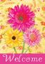 Gerberas Flag Gerberas Flag