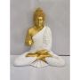 Dhyan Buddha Statue