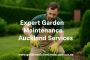 Expert Garden Maintenance Auckland Services