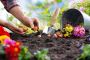 Essential Garden Supplies for Spring, Summer, Fall, and Wint