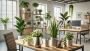 Smart Plants for Smart Homes: The Future of Indoor Greenery