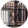 Lexington Security Gates