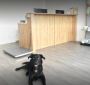 Trusted Ophthalmology for Pets in Spruce Grove