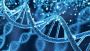 Cell and Gene therapy