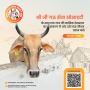 Cow Donation at Gauseva Society – Support & Serve 