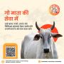 Nourish a Life with an Online Donation for Gaushala