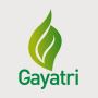 Gayatri Psyllium - Leading Psyllium Products Producer India