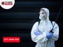 Wasp Control Services in Gold Coast: Safe and Reliable Solut