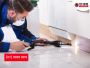 Pest Control Burleigh Heads: Keep Your Home Safe with Expert