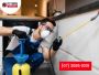Comprehensive Pest Management in Ormeau 