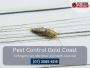 Pest Control Burleigh Heads – Quality Pest Management