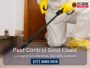 Gold Coast Termite Exterminator – Get Professional Treatment
