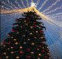 Dazzle Your Holidays with LED Christmas Lights