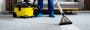Geelong’s Trusted Carpet Experts – Cleaning, Repairs & Insta