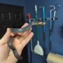 Eastern indigo snakes or Drymarchon couperi for sale