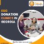Egg donation clinics in Georgia Egg donation clinics in Georgia