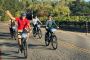 Wine County Bicycle Tours