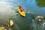 Guided Kayaking in Healdsburg