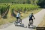 Wine Country Bicycle Tours