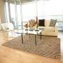 Solid & Striped Rugs – A Blend of Comfort and Elegance | Get