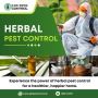 Best Herbal Pest Control Services in Noida