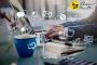 Global Honey Bee: Digital Marketing Agency in Noida