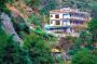 Best homestay near Auli | Best hotel near Auli