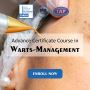 Achieve Expertise in Warts Management with GIADA’s Advanced 