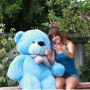Trendy Cool Teddy Bears - Shop Now At Giant Teddy