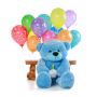 Special Teddy Bear for Birthday Celebrations