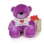 Cuddly purple bear at Giant Teddy Cuddly purple bear at Giant Teddy