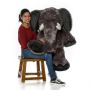 Plush Stuffed Elephants by Giant Teddy