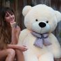 Lovely Huggable Teddy Bear 