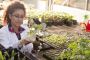 Register Yourself for the Horticulture Course in Brisbane