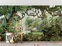 The Art of the Wild: Giffywalls’ Designer Jungle Wallpaper
