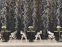 Elegant Touch: Golden Leaves Wallpaper for Modern Spaces