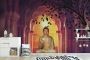 Shop Now: Beautiful 3D Wall Murals to Enhance Your Home