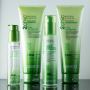 Organic Hair Shampoo for Hair Loss | Giovanni India