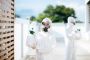 Asbestos Removal Technicians: Professional, Safe Removal of 