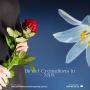 Is Direct Cremation Right for Your Loved One Is Direct Cremation Right for Your Loved One