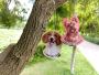Wholesale Car Air Freshener Suppliers – Bulk Pricing Availab