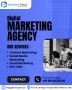 Trusted Digital Marketing Company in Ambala
